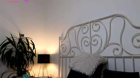 ginnybabe_ @ chaturbate on 20241203