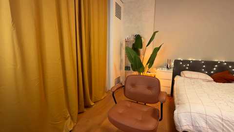vixenp @ chaturbate on 20241204