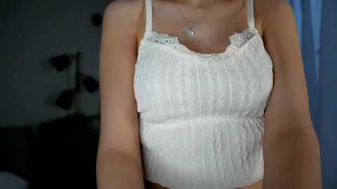 cirilada @ chaturbate on 20241205