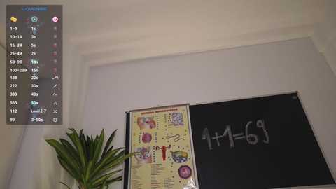 vanessa_de_ville @ chaturbate on 20241205