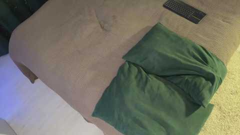 twixsex @ chaturbate on 20241206