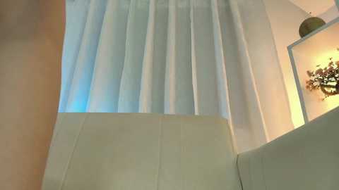 nezo_ @ chaturbate on 20241208