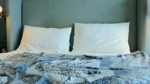 jessynelson_official @ chaturbate on 20241209