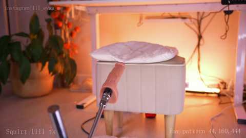 lil_eva @ chaturbate on 20241209