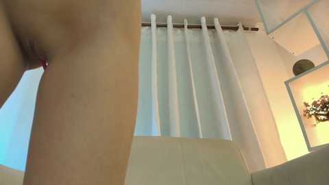 nezo_ @ chaturbate on 20241209