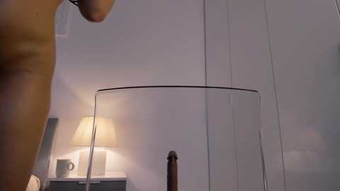 nina_yv @ chaturbate on 20241209