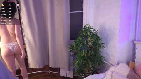 miku_alt @ chaturbate on 20241210