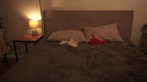mildredgarrett @ chaturbate on 20241210