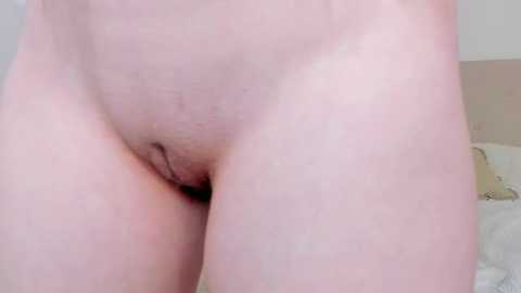 natural_meri_