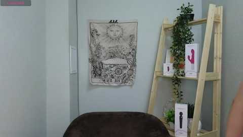 small_beautyx @ chaturbate on 20241211