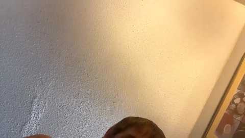 high3ndlowlife @ chaturbate on 20241212