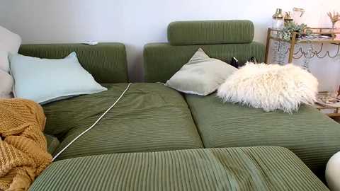 teleaevansss @ chaturbate on 20241212