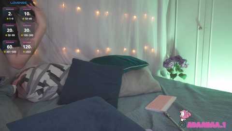 adaaraa_ @ chaturbate on 20241213