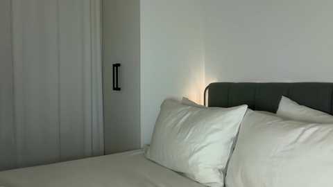 iiivy_ @ chaturbate on 20241213