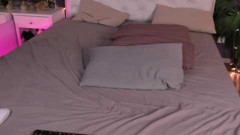 nellystarrr @ chaturbate on 20241219