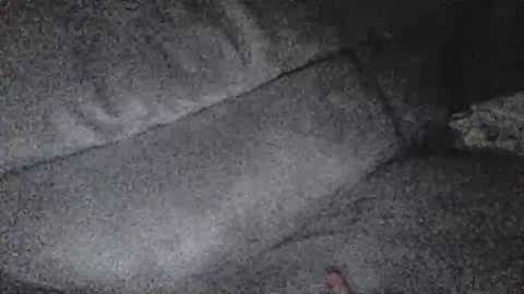 dickseenormous
