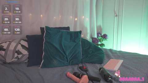 adaaraa_ @ chaturbate on 20241223