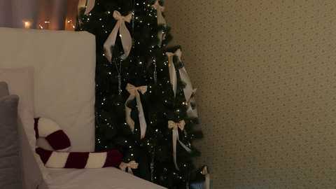 stela_artois @ chaturbate on 20241224