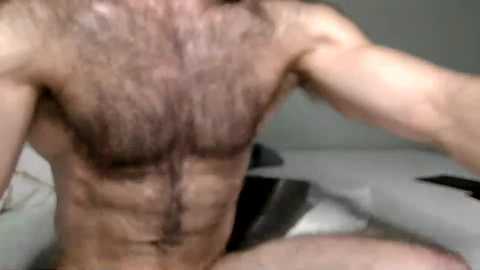 ryanhairystud