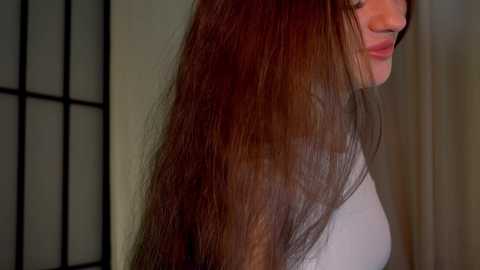 elliephant_