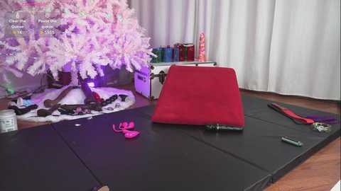 playtimewithv
