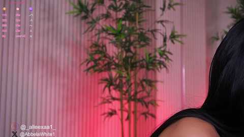 abbela_white @ chaturbate on 20241227