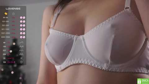 _vi_vi_ @ chaturbate on 20241229