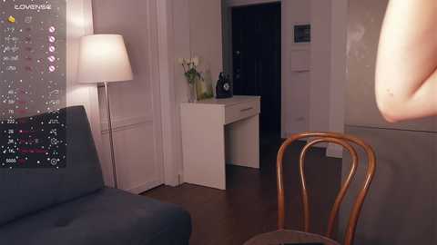 adelbelch @ chaturbate on 20250103