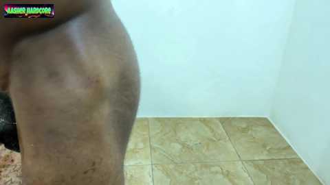 aasher_hardcore @ chaturbate on 20250104