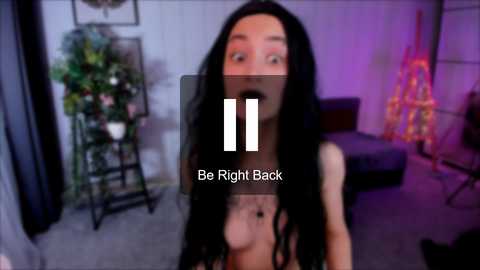 deniseparadise