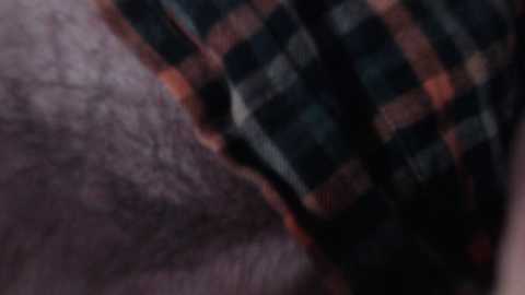 unicornspit11