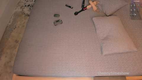 theanytimeshow @ chaturbate on 20250116
