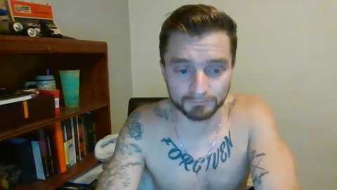 hunglikeafieldmouse69 @ chaturbate on 20250122