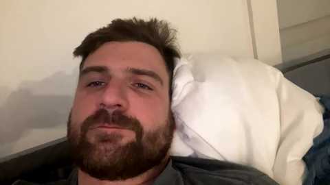 robinsonpainting1 @ chaturbate on 20250122