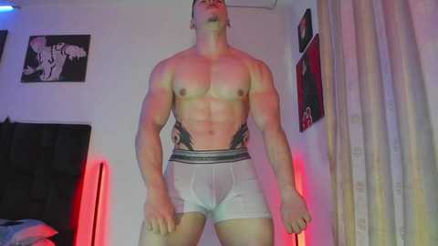 dante_franco