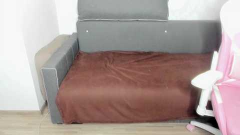_homegirl @ chaturbate on 20250129