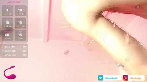 imlodge @ chaturbate on 20250129