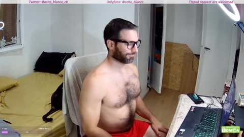 osito_blanco