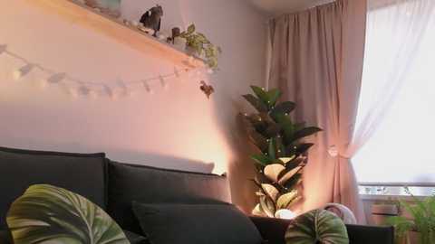 devil_lunna @ chaturbate on 20250203