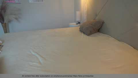 miss_juliaa @ chaturbate on 20250204