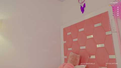 nicolle_mitchelle @ chaturbate on 20250209