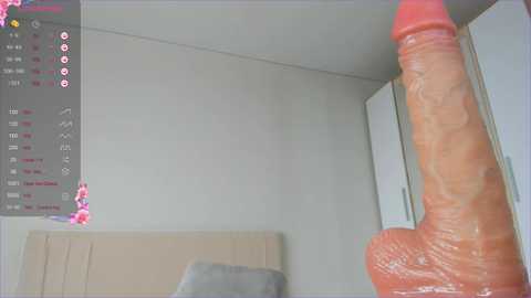 sweety_vikky @ chaturbate on 20250209
