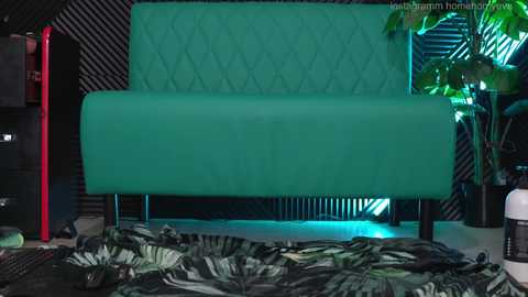homehornyeva @ chaturbate on 20250210