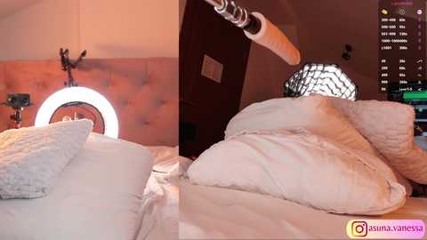 vanessa_asuna @ chaturbate on 20250210