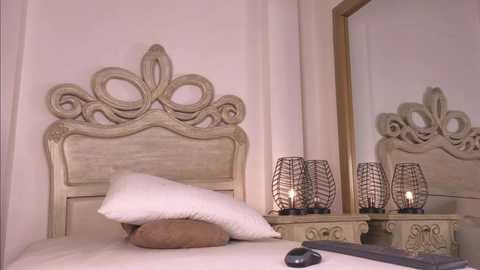 ana_maria11 @ chaturbate on 20250212