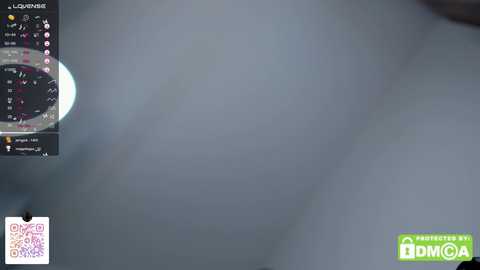 pinkncrazy @ chaturbate on 20250213