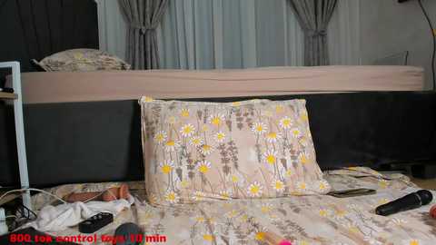 wowsquirt @ chaturbate on 20250213