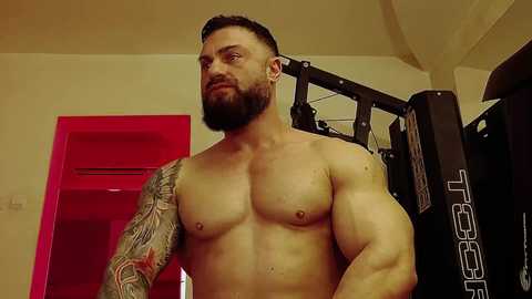 adonis_msc @ chaturbate on 20250214