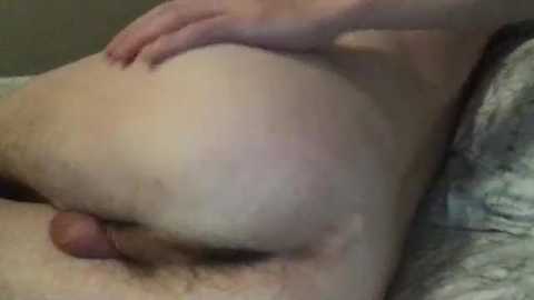 fitcollegestudxx