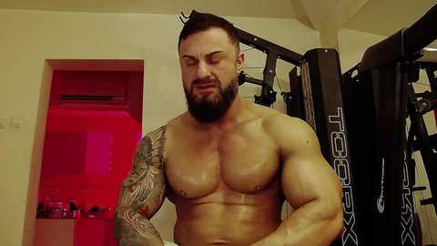 adonis_msc @ chaturbate on 20250218